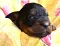 1_dsc_0006.jpg
