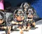 1_dsc_0009_26.jpg