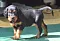 1_dsc_0039_2.jpg