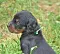 1_dsc_0469_2.jpg