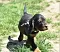 25.04.20_2_006lila.jpg