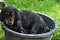 4_dsc_0077_800x530.jpg