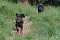 5_dsc_0012_800x530.jpg
