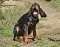 dsc_0030_800x623.jpg