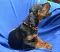 dsc_0048_800x687.jpg
