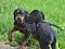 dsc_0050_2.jpg