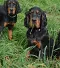 dsc_0057_701x800.jpg