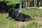 dsc_0140_800x530.jpg