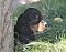 dsc_0918_2.jpg